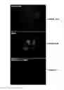Fig. 15 - Endoplasmic reticulum localization signals