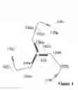 Fig. 02 - ISOLATED CLATHRIN THERAPEUTICS