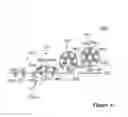 Fig. 05 - ISOLATED CLATHRIN THERAPEUTICS