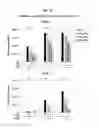 Fig. 09 - Development of Protein-Based Biotherapeutics That Penetrates Cell-Membrane and Induces Anti-Angiogenic Effect - Improved Cell-Permeable Suppressor of Cytokine Signaling (iCP-SOCS3) Proteins, Polynucleotides Encoding the Same, and Anti-Angiogenic Compositions Comprising the Same