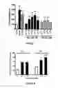 Fig. 06 - Peptide compounds and methods of production and use thereof