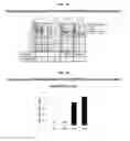 Fig. 07 - Development of Protein-Based Biotherapeutics That Induced Osteogenesis for Bone Healing Therapy: Cell-Permeable BMP2 and BMP7 Recombinant Proteins (CP-BMP2 & CP-BMP7), Polynucleotides Encoding the Same and Pro-osteogenic Compositions Comprising the Same