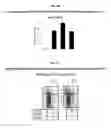 Fig. 16 - Development of Protein-Based Biotherapeutics That Induced Osteogenesis for Bone Healing Therapy: Cell-Permeable BMP2 and BMP7 Recombinant Proteins (CP-BMP2 & CP-BMP7), Polynucleotides Encoding the Same and Pro-osteogenic Compositions Comprising the Same