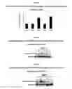 Fig. 23 - Development of Protein-Based Biotherapeutics That Induced Osteogenesis for Bone Healing Therapy: Cell-Permeable BMP2 and BMP7 Recombinant Proteins (CP-BMP2 & CP-BMP7), Polynucleotides Encoding the Same and Pro-osteogenic Compositions Comprising the Same
