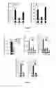Fig. 08 - Neuropeptide Y-derived peptides