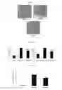 Fig. 09 - RELAXIN-LIKE PEPTIDES AND USES THEREOF