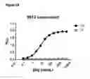 Fig. 05 - COMPOSITIONS AND METHODS FOR BINDING CYSTEINYL LEUKOTRIENES (CYSLTS) FOR TREATMENT OF DISEASE
