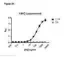 Fig. 08 - COMPOSITIONS AND METHODS FOR BINDING CYSTEINYL LEUKOTRIENES (CYSLTS) FOR TREATMENT OF DISEASE