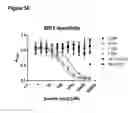 Fig. 10 - COMPOSITIONS AND METHODS FOR BINDING CYSTEINYL LEUKOTRIENES (CYSLTS) FOR TREATMENT OF DISEASE