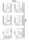 Fig. 08 - T-cell-specific humanized single fragment antibody delivery vehicle