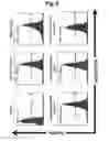 Fig. 09 - T-cell-specific humanized single fragment antibody delivery vehicle