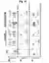 Fig. 13 - T-cell-specific humanized single fragment antibody delivery vehicle