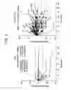 Fig. 03 - COMBINATION THERAPY FOR PD-L1 NEGATIVE TUMORS