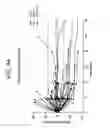 Fig. 07 - COMBINATION THERAPY FOR PD-L1 NEGATIVE TUMORS