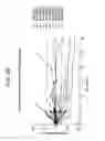 Fig. 08 - COMBINATION THERAPY FOR PD-L1 NEGATIVE TUMORS