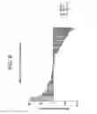 Fig. 12 - COMBINATION THERAPY FOR PD-L1 NEGATIVE TUMORS