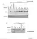 Fig. 03 - Novel EGFR-Binding Molecules and Immunoconjugates Thereof