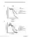 Fig. 20 - Novel EGFR-Binding Molecules and Immunoconjugates Thereof