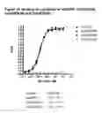 Fig. 37 - Novel EGFR-Binding Molecules and Immunoconjugates Thereof