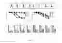 Fig. 08 - COMPOSITIONS AND METHODS FOR DETECTION AND TREATMENT OF HEPATOCELLULAR CARCINOMA