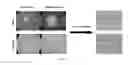Fig. 15 - COMPOSITIONS AND METHODS FOR DETECTION AND TREATMENT OF HEPATOCELLULAR CARCINOMA
