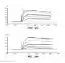 Fig. 10 - Anti-FAP antibodies and methods of use