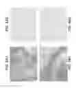 Fig. 19 - Anti-FAP antibodies and methods of use