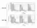 Fig. 21 - Anti-FAP antibodies and methods of use