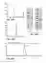 Fig. 35 - Anti-FAP antibodies and methods of use