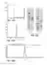 Fig. 37 - Anti-FAP antibodies and methods of use