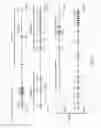 Fig. 02 - Human lambda light chain mice