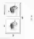 Fig. 16 - Human lambda light chain mice