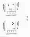 Fig. 19 - Human lambda light chain mice