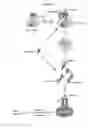 Fig. 02 - RAPID CLEARANCE OF ANTIGEN COMPLEXES USING NOVEL ANTIBODIES