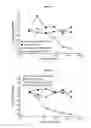 Fig. 12 - RAPID CLEARANCE OF ANTIGEN COMPLEXES USING NOVEL ANTIBODIES