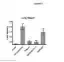 Fig. 02 - POLYSACCHARIDE COMPOSITIONS AND METHODS OF USE FOR THE TREATMENT AND PREVENTION OF DISORDERS ASSOCIATED WITH PROGENITOR CELL MOBILIZATION