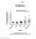 Fig. 08 - POLYSACCHARIDE COMPOSITIONS AND METHODS OF USE FOR THE TREATMENT AND PREVENTION OF DISORDERS ASSOCIATED WITH PROGENITOR CELL MOBILIZATION