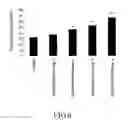 Fig. 07 - Refined product obtained from rice hull and preparation process and use thereof
