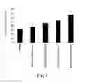 Fig. 08 - Refined product obtained from rice hull and preparation process and use thereof