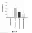 Fig. 09 - Refined product obtained from rice hull and preparation process and use thereof