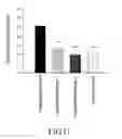 Fig. 12 - Refined product obtained from rice hull and preparation process and use thereof