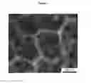 Fig. 08 - Biodegradable network polymers for regenerative medicine and tissue engineering