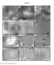 Fig. 12 - Biodegradable network polymers for regenerative medicine and tissue engineering
