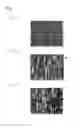 Fig. 02 - Formed body having a layer of thermoplastic resin