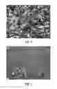 Fig. 02 - Methods and materials for depolymerizing polyesters