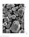 Fig. 04 - STABILIZATION OF POLYAMIDE WITH COPPER-BASED METAL ORGANIC FRAMEWORKS