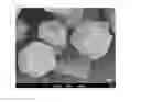 Fig. 01 - (Oxy)nitride phosphor powder and method of producing same