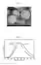 Fig. 02 - (Oxy)nitride phosphor powder and method of producing same