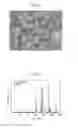 Fig. 03 - (Oxy)nitride phosphor powder and method of producing same