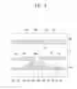Fig. 09 - COLOR FILTER COMPOSITION AND LIQUID CRYSTAL DISPLAY INCLUDING THE SAME